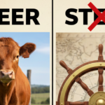 Steer vs Stear: Meaning, Definition & Proper Usage