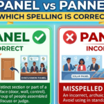 Panel vs Pannel: Which Spelling Is Correct?