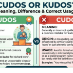 Cudos or Kudos? Meaning, Difference & Correct Usage