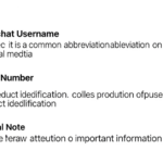 SN Meaning in Text: What It Really Stands For