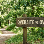 Oversite vs Oversight: What’s the Correct Word and When to Use It?