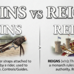 Reins vs Reigns: Understanding the Difference and Using Them Correctly